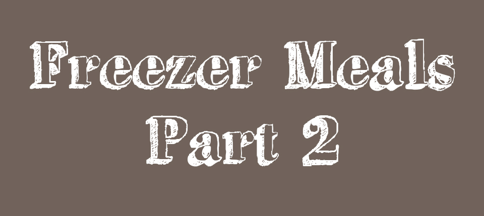 Freezer Meals Part 2 – warfieldfamily