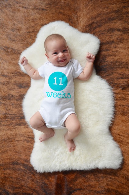 11 weeks copy