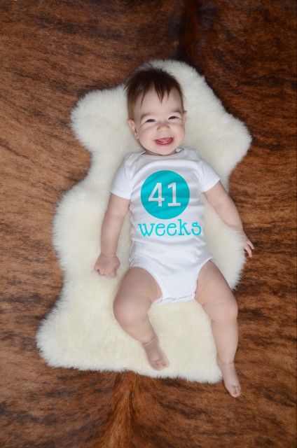 41 weeks